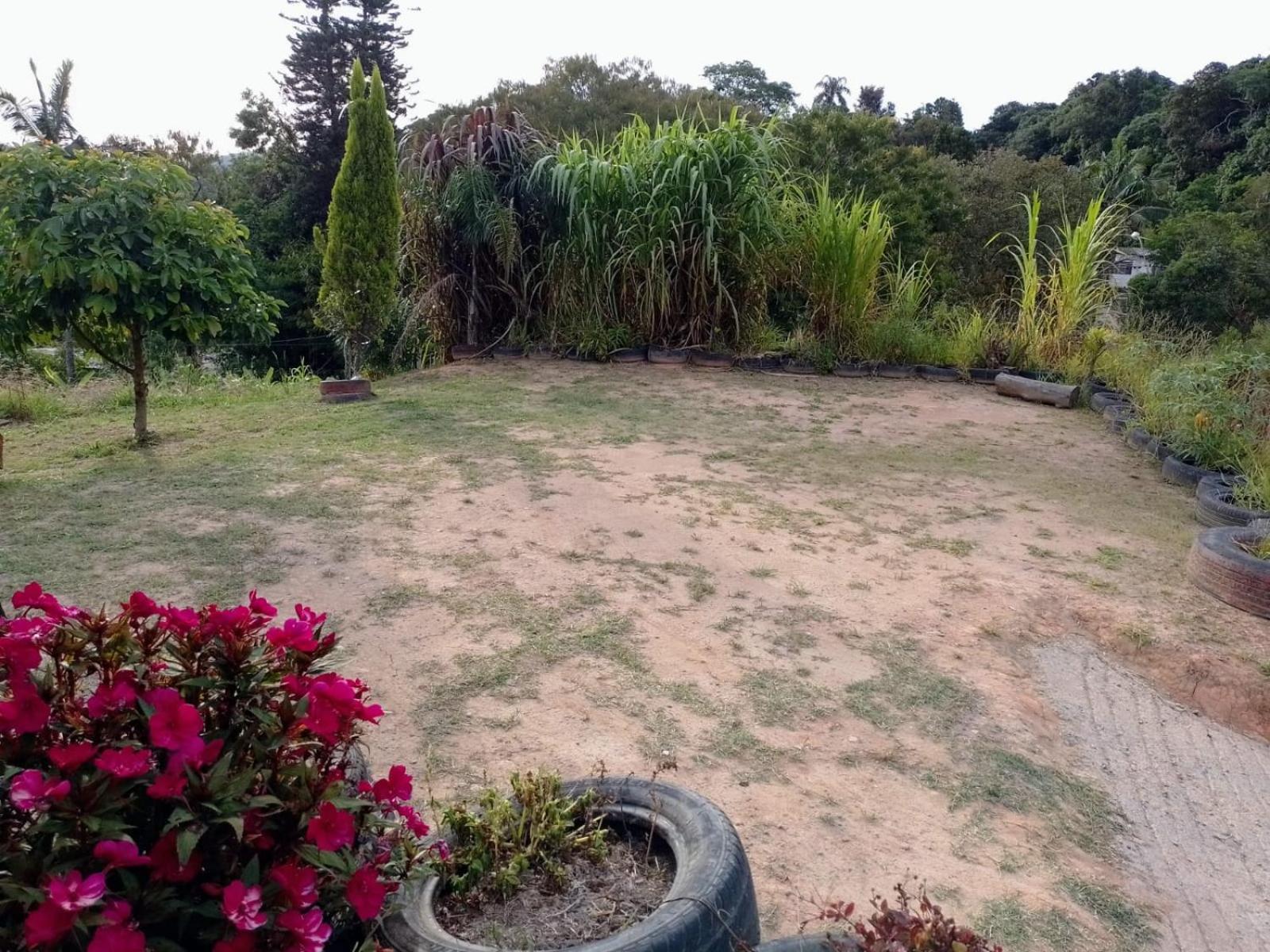 Chacara Chiafarelli Guest House Sao Roque  Luaran gambar